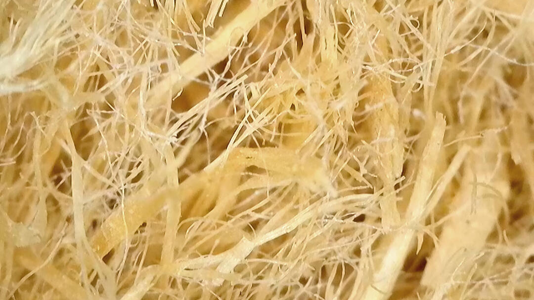 Eine mikroskopische Aufnahme der Fasern des STEICOflex-Materials.