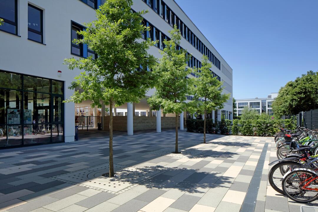 Der Hof einer Schule ist in unterschiedlichen, hellen Grautönen gepflastert. Dazwischen sind Bäume gepflanzt.